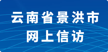 云南省景洪市网上信访